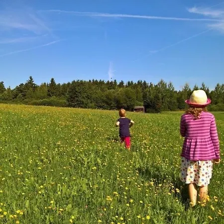 In Vordorfermuehle Mit Garten Tröstau